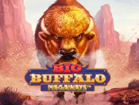 game logo by Skywind Group on spinjo-no.com