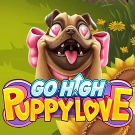 game logo by RubyPlay on spinjo-no.com
